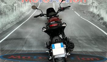 BENELLI LEONCINO 500 – 2021 completo