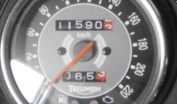 TRIUMPH BONNEVILLE T100 – 2009 completo