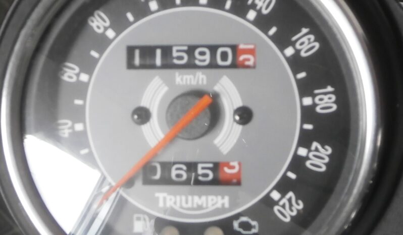 TRIUMPH BONNEVILLE T100 – 2009 completo