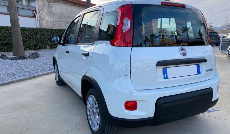 Fiat Panda 1.0 FireFly S&S Hybrid completo