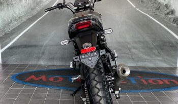 VOGE TROFEO 300ACX Scrambler completo