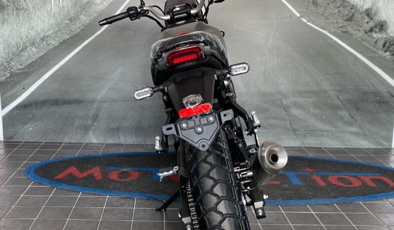 VOGE TROFEO 300ACX Scrambler completo