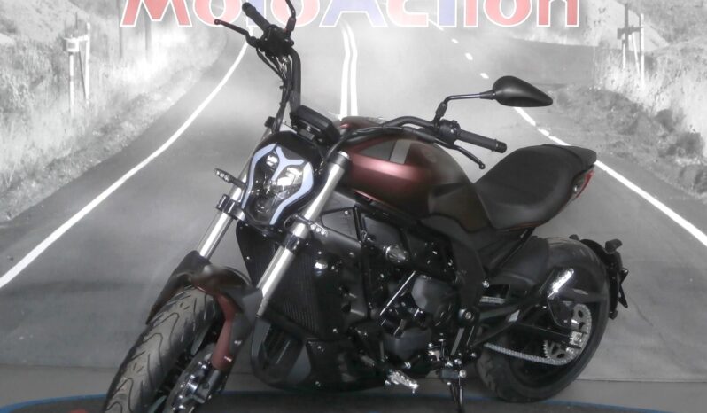 BENELLI 502C completo
