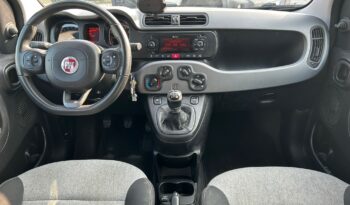 Panda 1.2 Lounge GPL completo