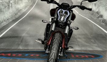 BENELLI 502C – 2019 completo