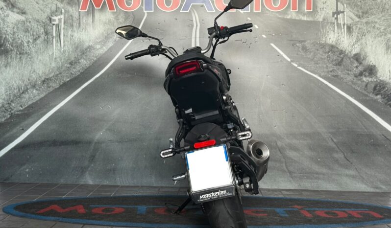 Voge Trofeo 300 AC – 2024 completo