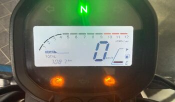 Voge Trofeo 300 AC – 2024 completo